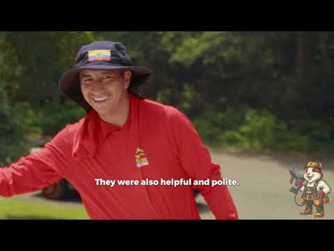 Testimonials Examples