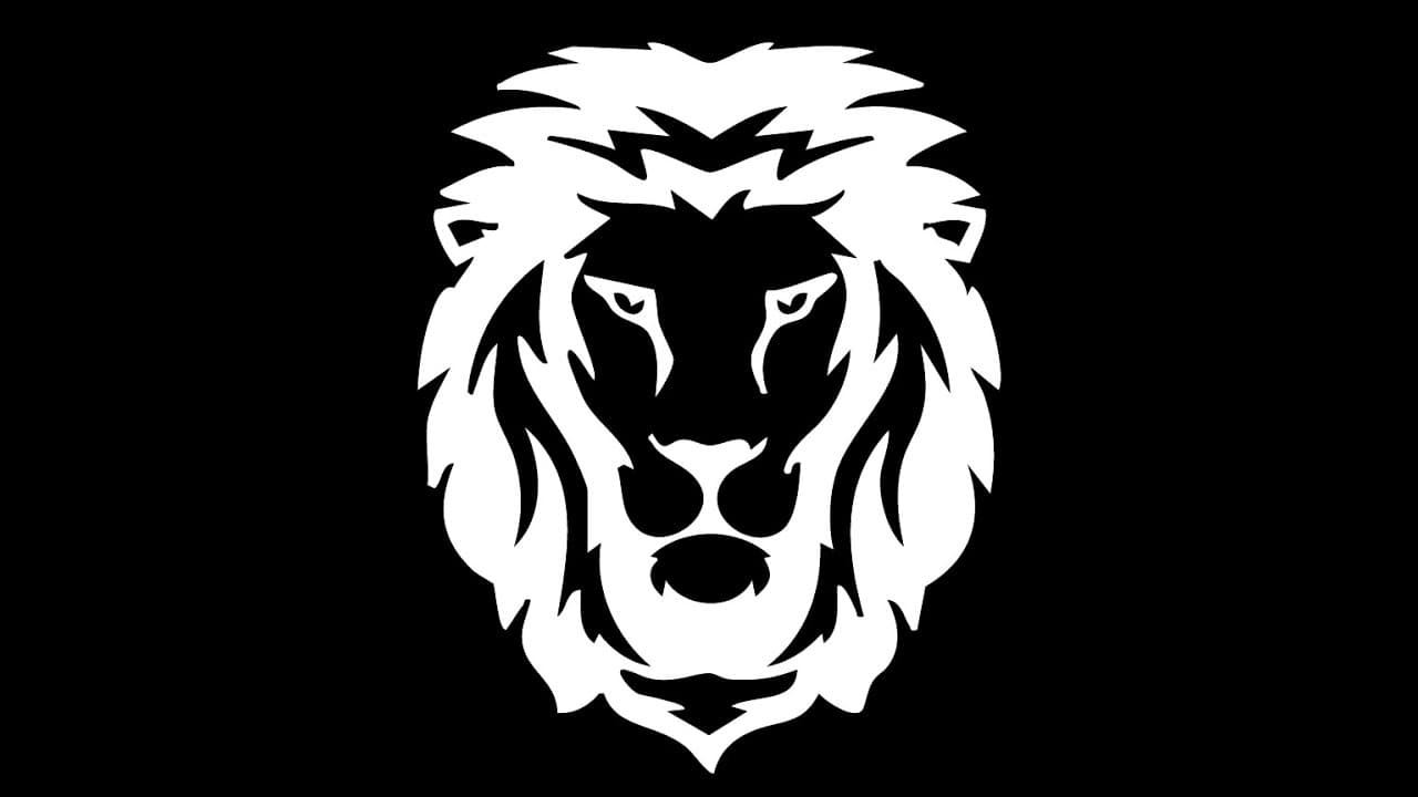 Company Explainer Video